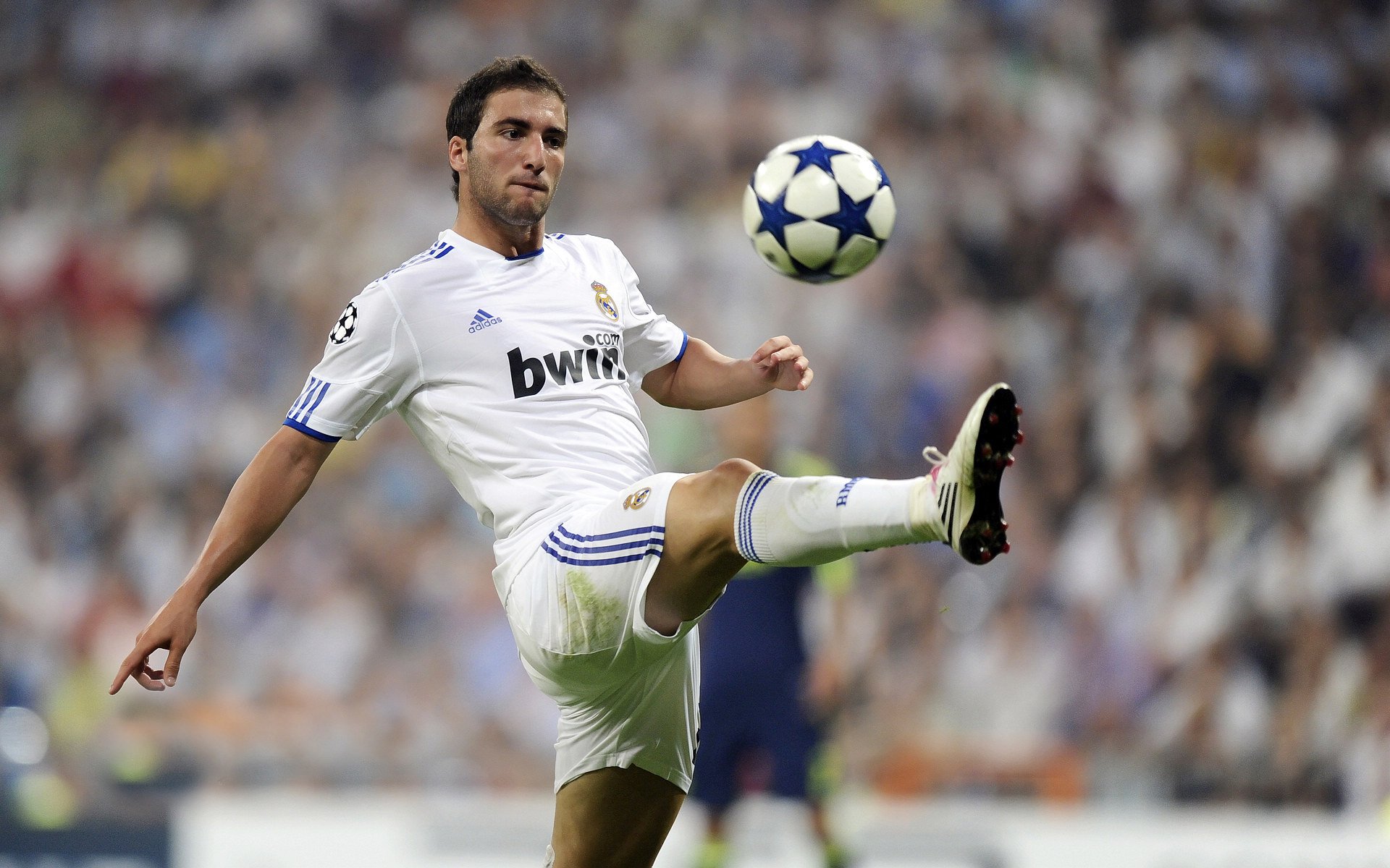 “球场背后：明星场外趣味爱好揭秘”，明星喜欢的球队